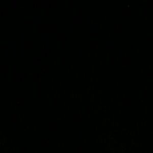 ANIMAL PRINT DRESS. NWOT